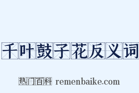 千叶鼓子花反义词是什么意思的图片